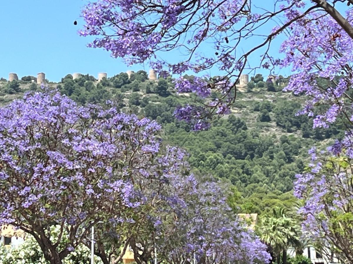Apartment Nearby Beach And Old Town Jávea מראה חיצוני תמונה